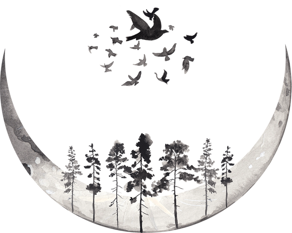 Crescent moon mystic watercolor composition